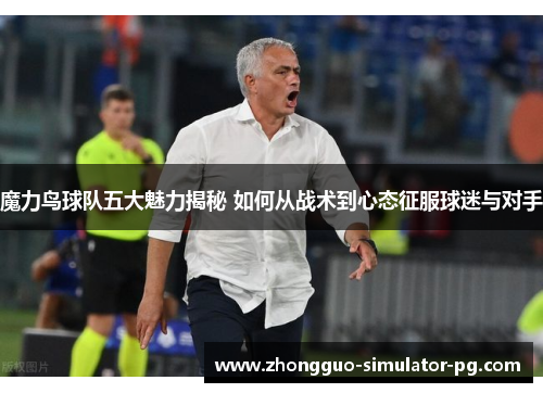 魔力鸟球队五大魅力揭秘 如何从战术到心态征服球迷与对手 魔力鸟球队五大魅力揭秘 如何从战术到心态征服球迷与对手