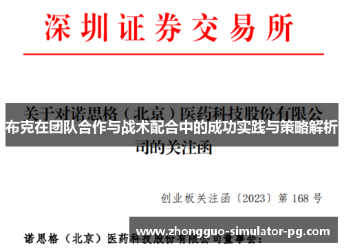 布克在团队合作与战术配合中的成功实践与策略解析