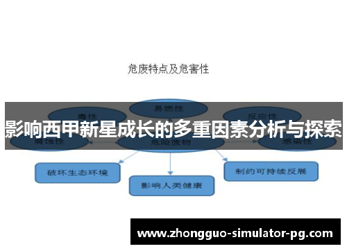 影响西甲新星成长的多重因素分析与探索 影响西甲新星成长的多重因素分析与探索