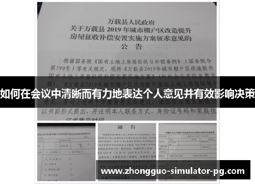 如何在会议中清晰而有力地表达个人意见并有效影响决策