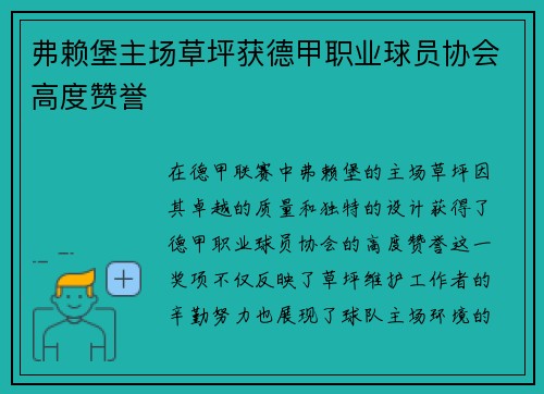 弗赖堡主场草坪获德甲职业球员协会高度赞誉 弗赖堡主场草坪获德甲职业球员协会高度赞誉