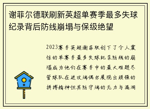 谢菲尔德联刷新英超单赛季最多失球纪录背后防线崩塌与保级绝望 谢菲尔德联刷新英超单赛季最多失球纪录背后防线崩塌与保级绝望